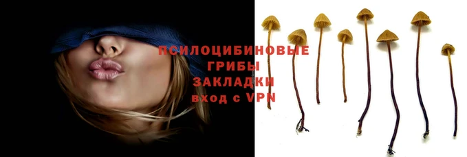дмт Магадан