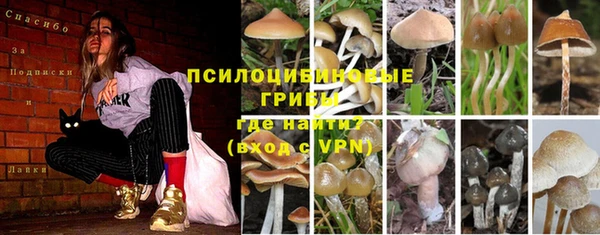 гидропоника Абинск