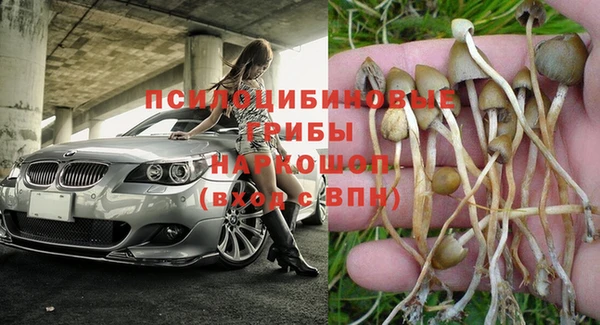 наркотики Абаза